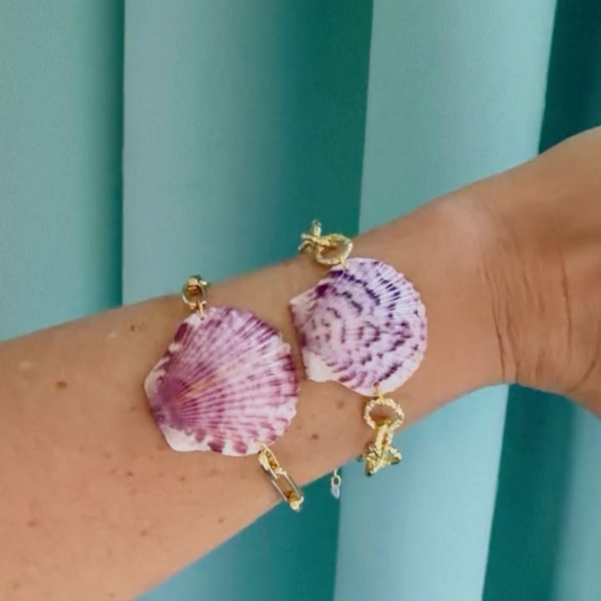 Scallop Shell Bracelet